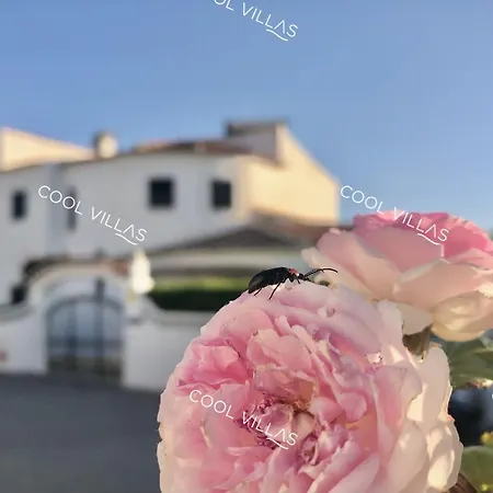Villa Lilac - Walking Distance To Albufeira